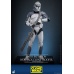 Star Wars The Clone Wars Action Figure 1/6 104th Battalion Wolfpack Clone Trooper Deluxe Version 30 cm Hot Toys Product