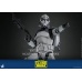 Star Wars The Clone Wars Action Figure 1/6 104th Battalion Wolfpack Clone Trooper Deluxe Version 30 cm Hot Toys Product