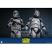 Star Wars The Clone Wars Action Figure 1/6 104th Battalion Wolfpack Clone Trooper Deluxe Version 30 cm Hot Toys Product