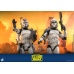 Star Wars The Clone Wars Action Figure 1/6 104th Battalion Wolfpack Clone Trooper Deluxe Version 30 cm Hot Toys Product