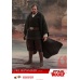 Star Wars: The Last Jedi - Luke Skywalker Crait 1:6 Scale Figure Hot Toys Product