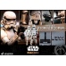 Star Wars: The Mandalorian - Remnant Stormtrooper 1:6 Scale Figure Hot Toys Product