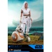 Star Wars: The Rise of Skywalker - Rey and D-O 1:6 Scale Figure Set Hot Toys Product