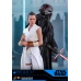 Star Wars: The Rise of Skywalker - Rey and D-O 1:6 Scale Figure Set Hot Toys Product