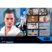 Star Wars: The Rise of Skywalker - Rey and D-O 1:6 Scale Figure Set Hot Toys Product