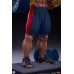 Street Fighter Premier Series Statue 1/4 Evil Ryu: Powerlifting 53 cm Premium Collectibles Studio Product