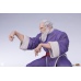 Street Fighter: Zangief & Gen 1:10 Scale Statue Set Premium Collectibles Studio Product