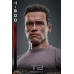 Terminator 2 Movie Masterpiece Action Figure 1/6 T-800 2.0 32 cm Hot Toys Product