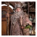 The Lord of the Rings Statue 1/6 Radagast in Rhosgobel Limited Edition 43 cm Weta Workshop Product