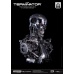 The Terminator The Real Series Life Size Bust 1/1 T-800 Endoskeleton Skull 50 cm Blitzway Product