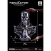 The Terminator The Real Series Life Size Bust 1/1 T-800 Endoskeleton Skull 50 cm Blitzway Product
