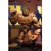 TMNT: Cartoon Series 4 - Tragg and Grannitor 7 inch Action Figure 2 Pack NECA Product