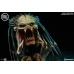 Wolf Predator Bust 1/2 Exclusive Sideshow Collectibles Product