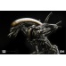 XM Studios Alien Warrior Supreme Scale Collectibles Statue XM Studios Product