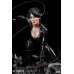 XM Studios Catwoman - Rebirth 1/6 Premium Collectibles Statue XM Studios Product
